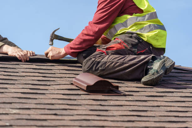 Best Roof Maintenance Services  in Loch Lomond, VA