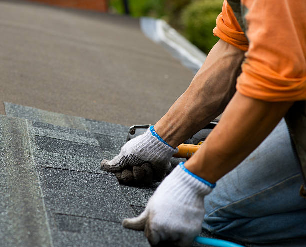 Best Roof Repair Specialists  in Loch Lomond, VA