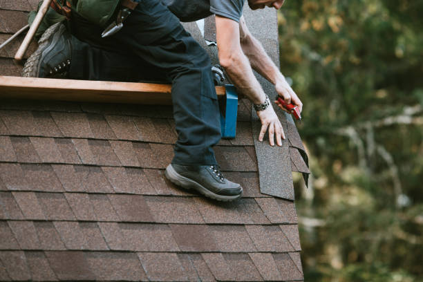 Best Roof Maintenance Services  in Loch Lomond, VA